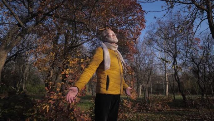 在公园温暖的秋日里，穿着灰色胡须的戴眼镜的老人在散步时享受新鲜的空气和阳光