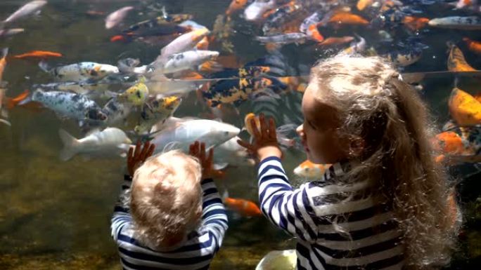 兴奋的姐姐和哥哥在水族馆里看着异国情调的鱼。万向节运动