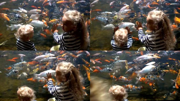 兴奋的姐姐和哥哥在水族馆里看着异国情调的鱼。万向节运动