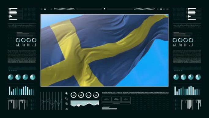 瑞典信息分析报告和财务数据