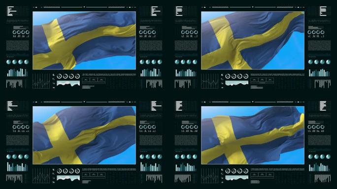瑞典信息分析报告和财务数据