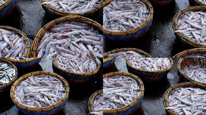 传统市场的鲜鱿鱼传统市场的鲜鱿鱼水产海鲜