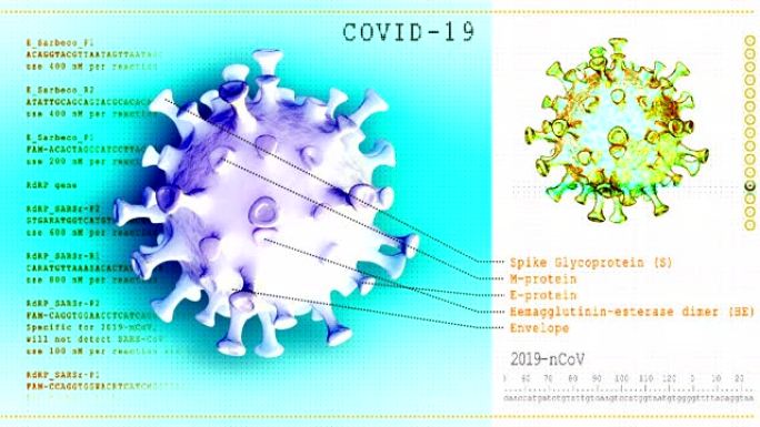 冠状病毒疾病。三维模型COVID-19