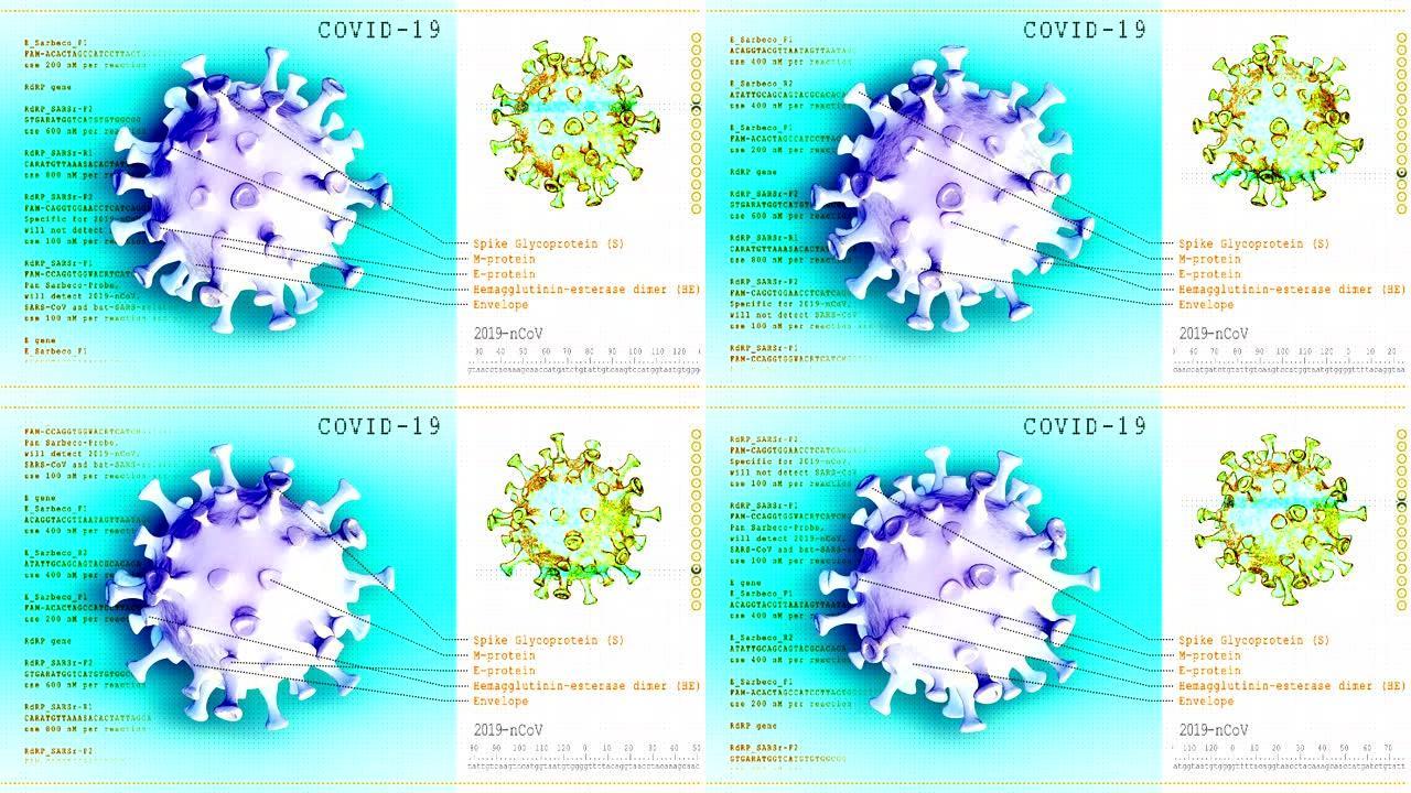 冠状病毒疾病。三维模型COVID-19