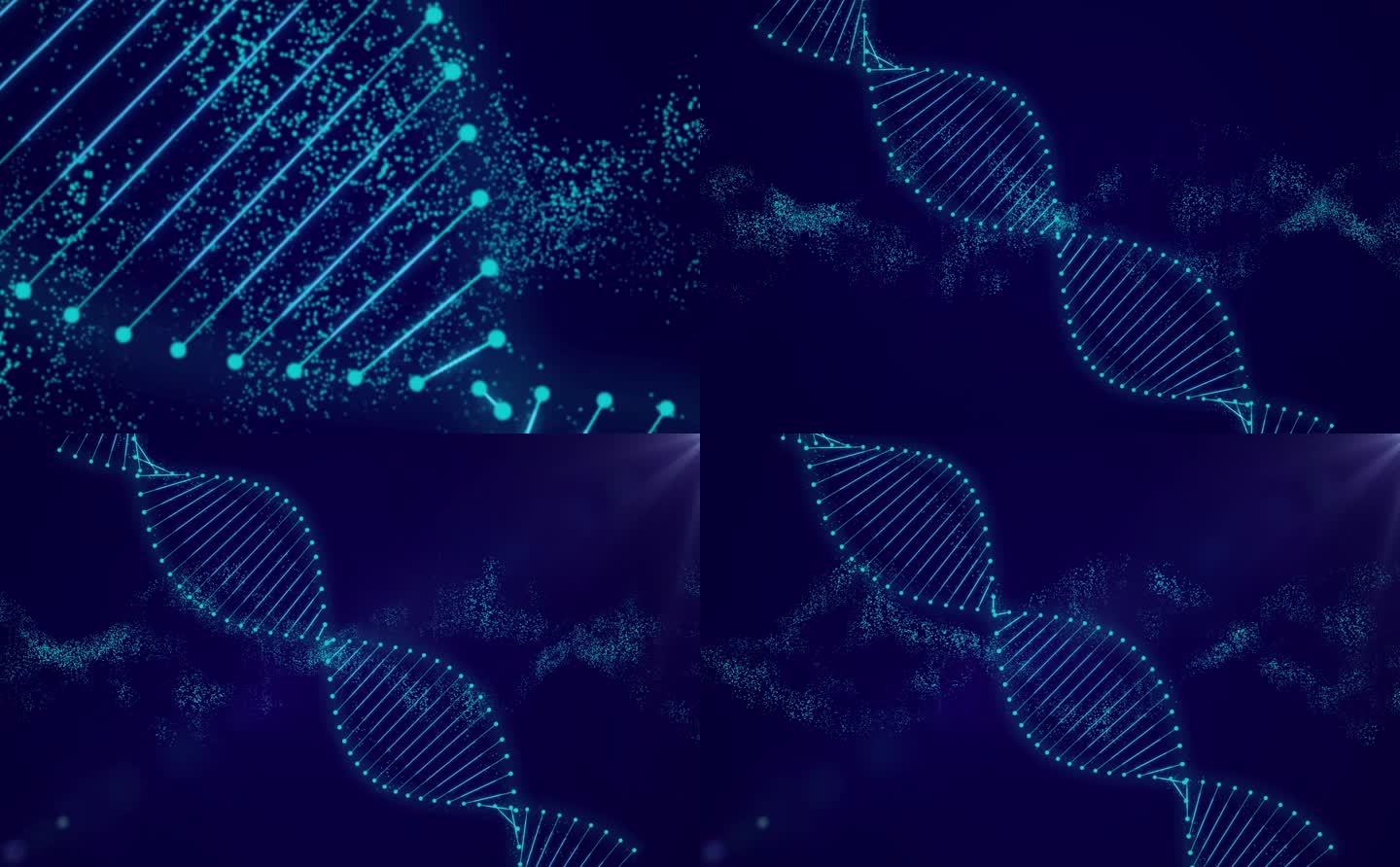 科技感DNA视频素材