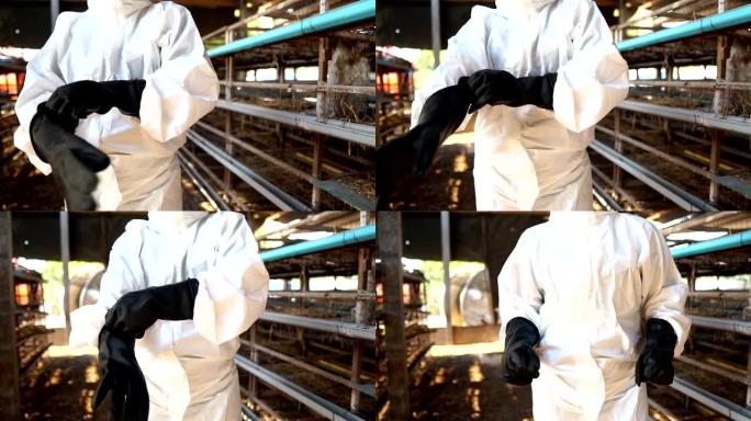 科学家正在监测鸡粪形式的化学污染