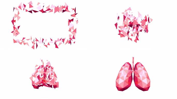 抽象人体肺动画设计。白色背景上的多边形样式。