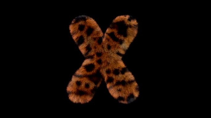 豹子毛茸茸的动画毛茸茸的字母X