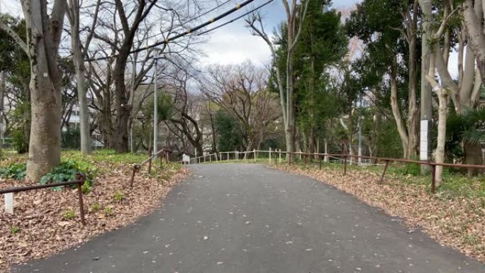 日本东京公园景观日