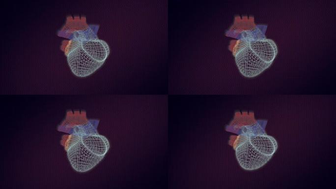 人体心脏的三维模型在监视器上旋转，具有视觉上的构造和跳动。