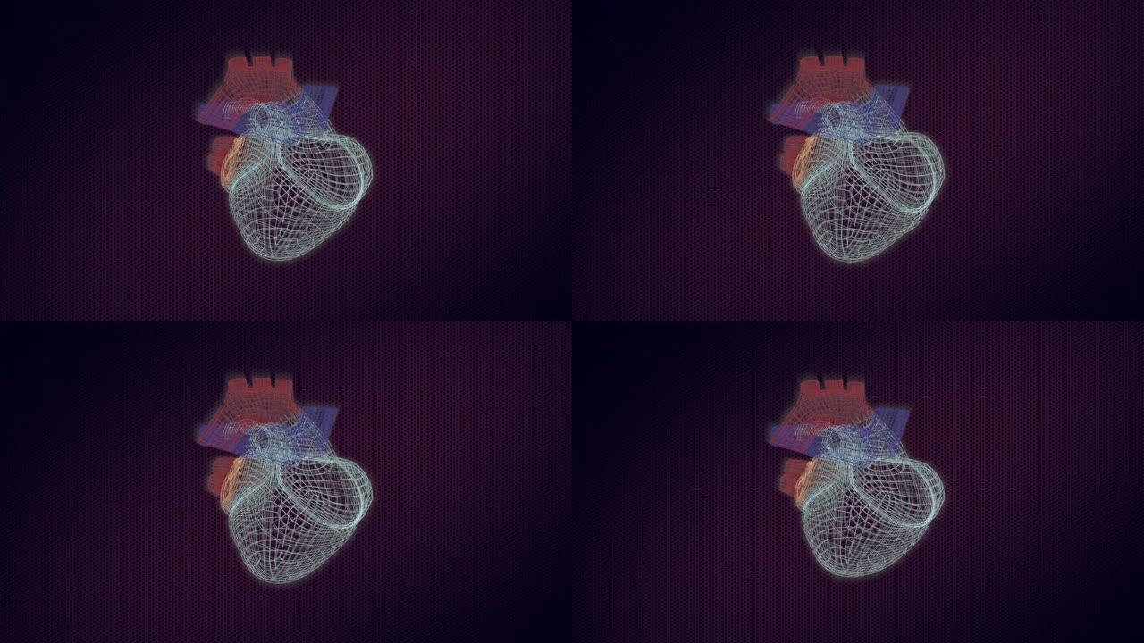 人体心脏的三维模型在监视器上旋转，具有视觉上的构造和跳动。