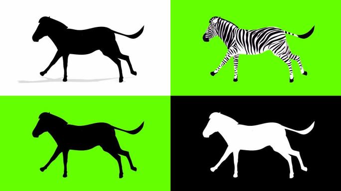 斑马运行周期动画斑马动画绿幕抠图动态