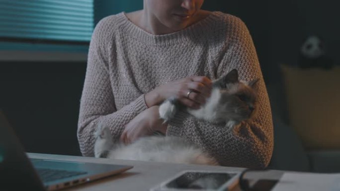 女人抱着她的猫，用她的笔记本电脑