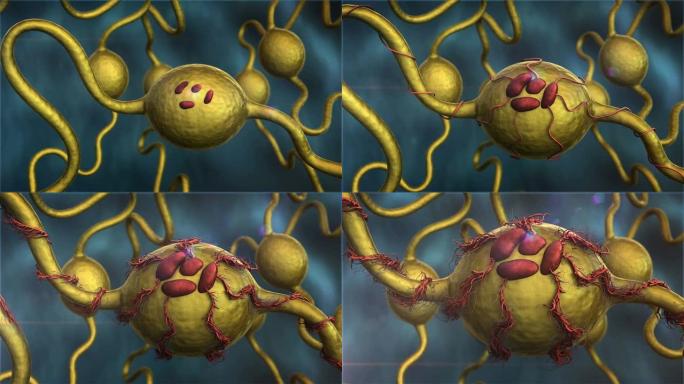 腺体产生的激素癌细胞医疗动画视频素材