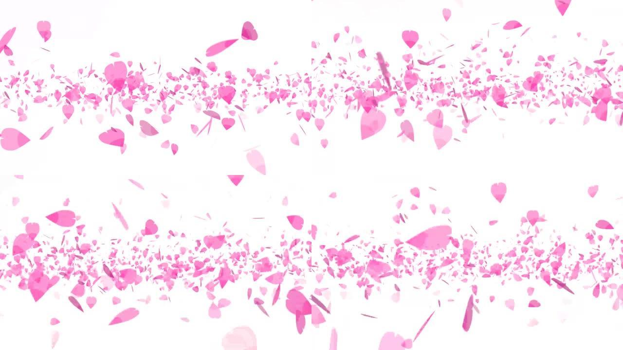 粉红色樱花叶子沉重的旋转飞行孤立的背景