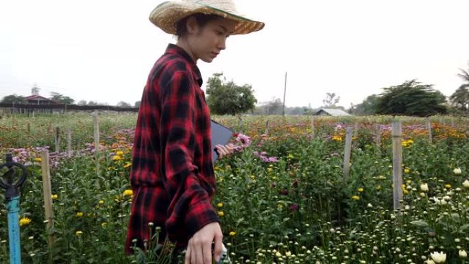 美丽的亚洲女人的肖像在自然花田