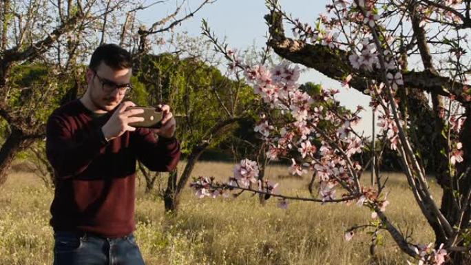 一名年轻人用手机拍照杏花