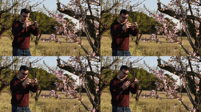 一名年轻人用手机拍照杏花