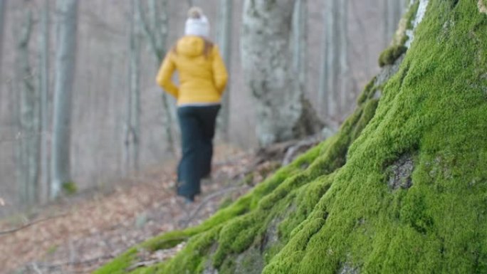 独自在森林里行走的冬季旅行者。拥抱大自然。感觉的能量。回到根源。