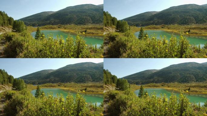 俄罗斯阿尔泰的山湖。风景如画的绿色湖泊。