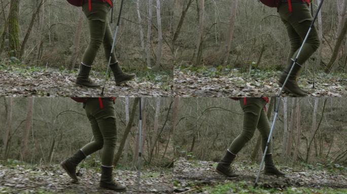 老年人的女人腿走槽森林的特写