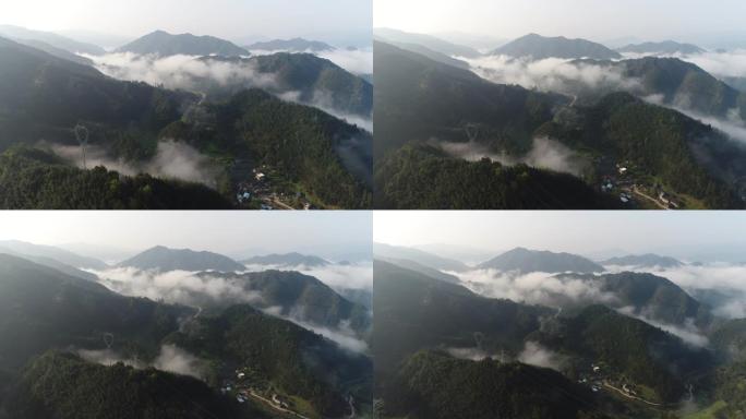 早晨森林多雾，中国桂林