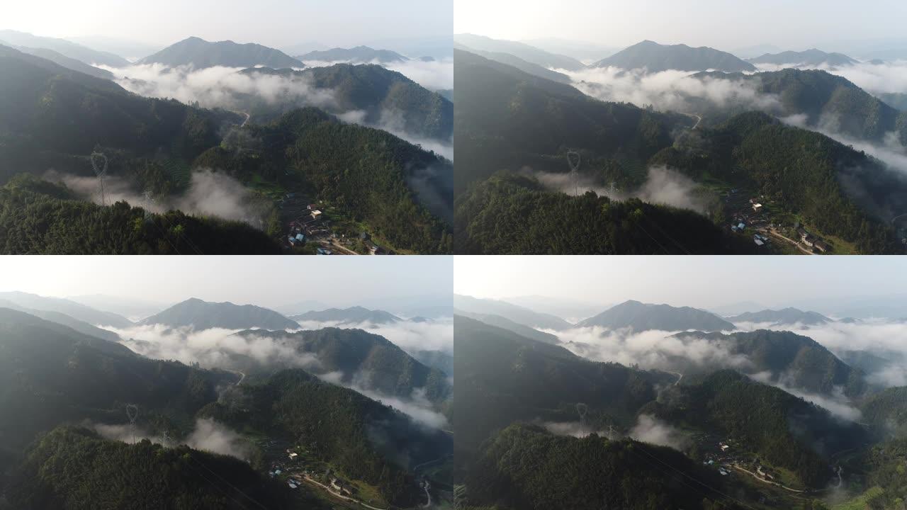 早晨森林多雾，中国桂林