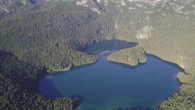 在Durmitor国家公园拍摄彩色树木和湖泊的空中无人机