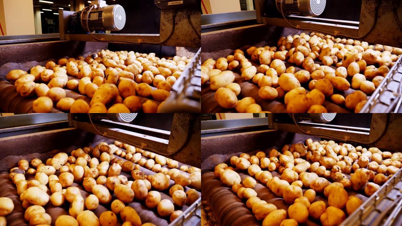 工厂车间按生产线分类的土豆特写