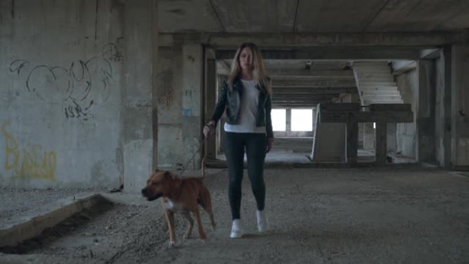在框架中，美国斯塔福德郡梗和他的情妇正在一座废弃的未完成的建筑物周围行走。一个女孩拉皮带训练狗。