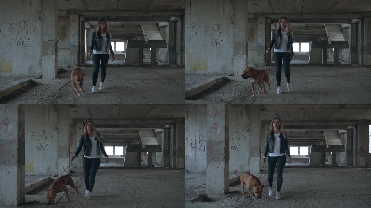 在框架中，美国斯塔福德郡梗和他的情妇正在一座废弃的未完成的建筑物周围行走。一个女孩拉皮带训练狗。