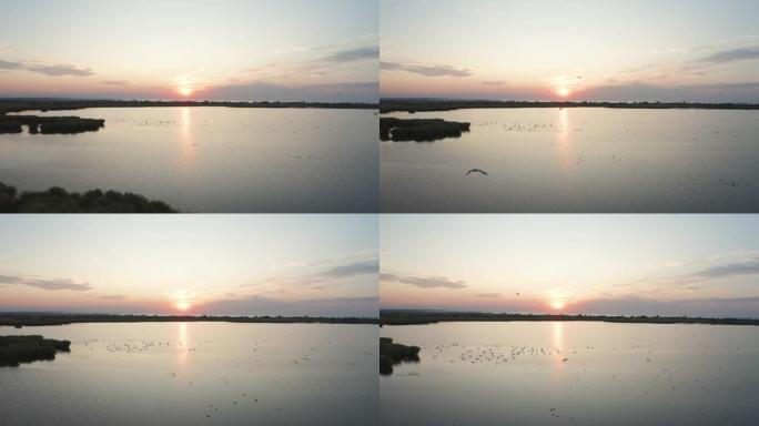 日落时国家公园湿地的无人机景观