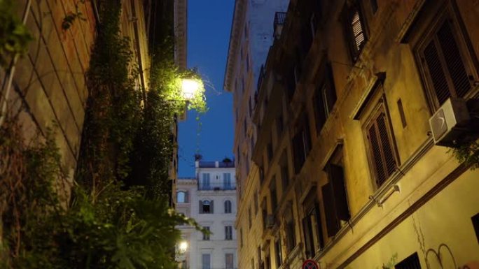 狭窄的罗马街道用古老的灯照明，并装饰有不同类型的植物。独特的罗马建筑外观，中世纪的夜晚氛围。今天的罗