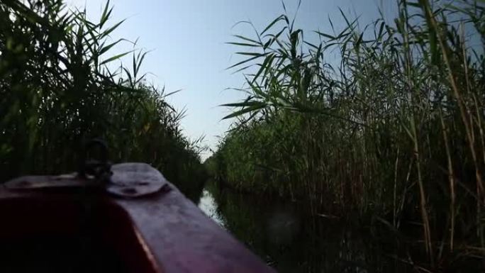 驶过狭窄的运河，周围环绕着茂密的树叶，船在前景的光线中闪耀