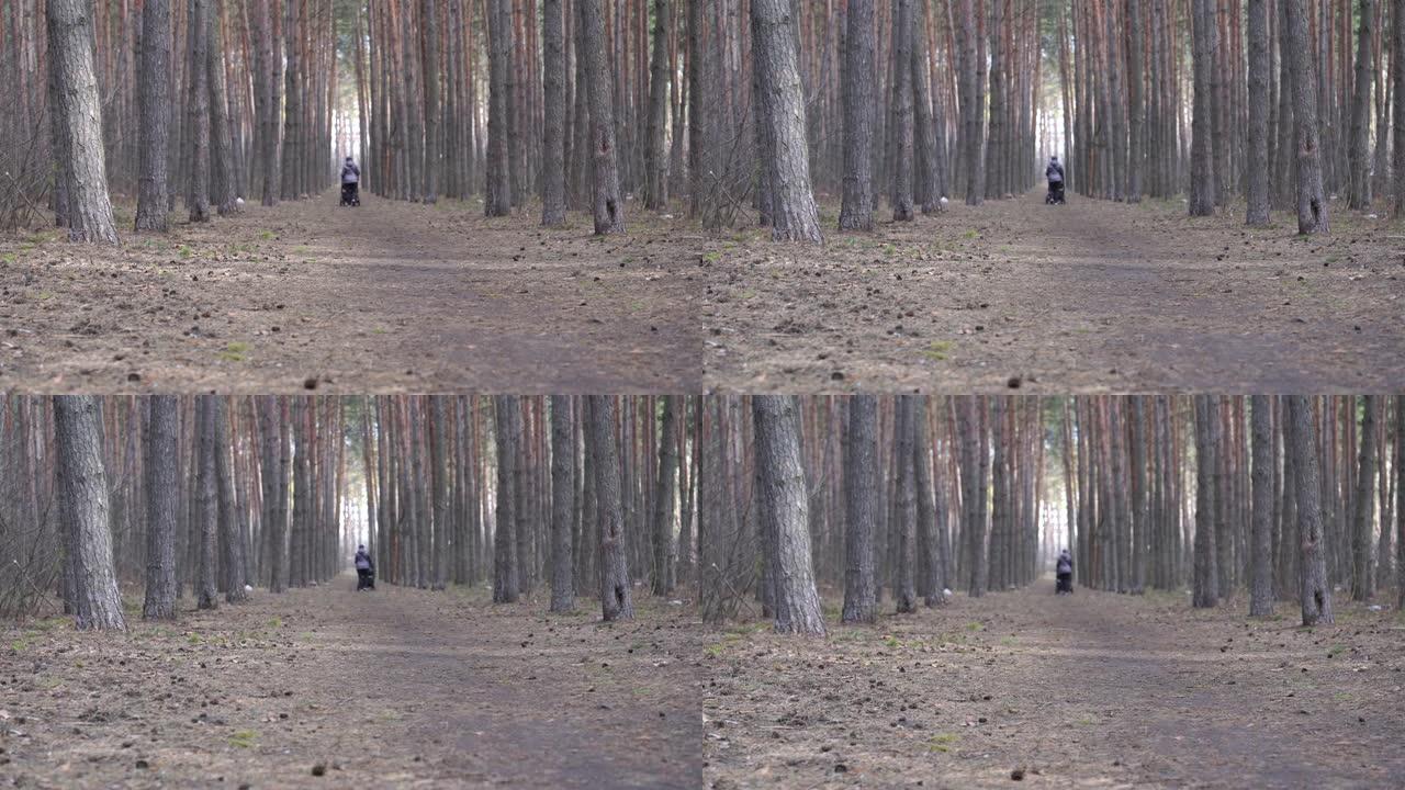 祖母和她的孙子或孙女在森林里走开了。带着婴儿车的老年妇女沿着林地树木之间的大路径行走