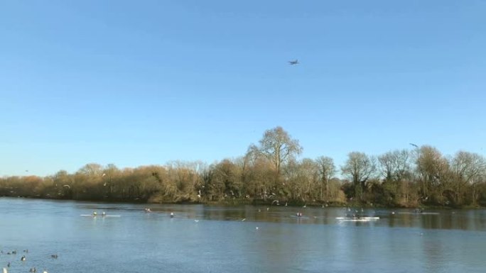 飞机正在池塘上经过。湖边景观，海鸥，划独木舟的人。