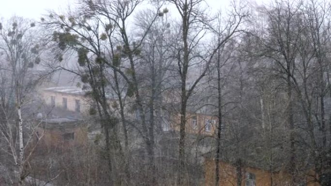看到一层楼的房子，一个悲伤的灰色冬日。大雪，强风，暴雪。树木在风中摇摆不定。雨雪湿了。飓风