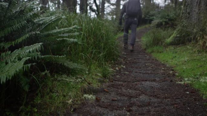 背包客在阴天的暴风雨中徒步穿越泥泞的森林小径