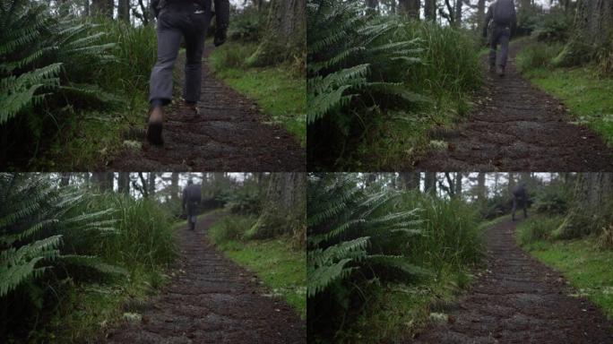 背包客在阴天的暴风雨中徒步穿越泥泞的森林小径