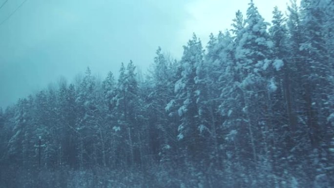 从行驶中的火车的窗户可以看到冬季森林。