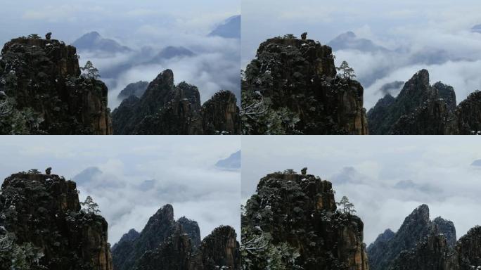 雪后黄山云的时间流逝