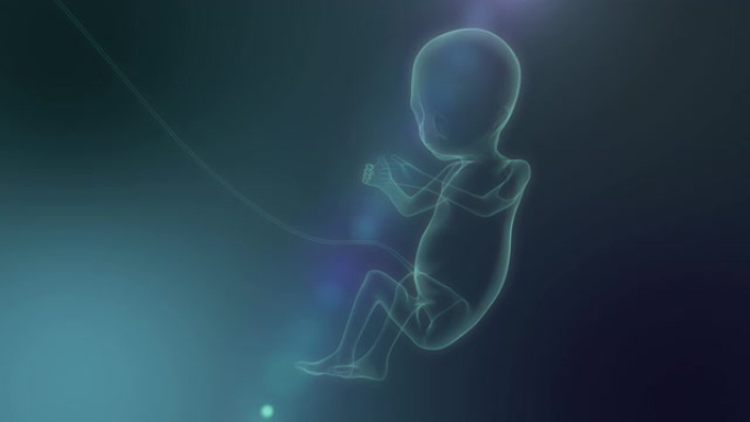 微小的新生婴儿在x光概念未来。3D动画。4K