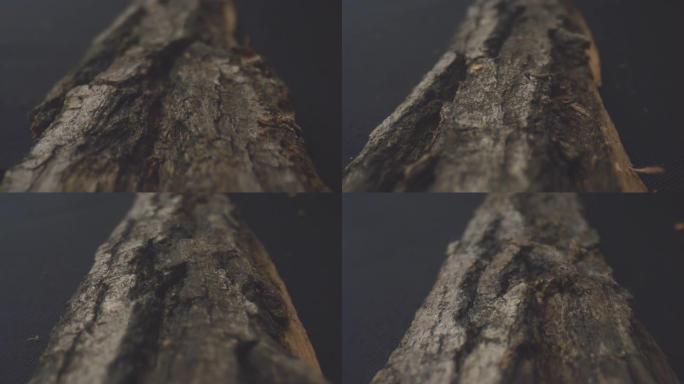 详细拍摄破裂的木材表面的特写镜头，背景隔离在黑色上
