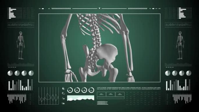 医用UHD抽象动画。实验室仪表板接口。诊断计算机显示的人体骨骼研究。