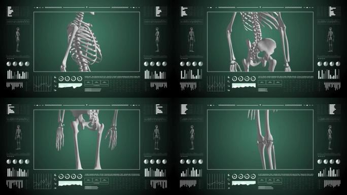 医用UHD抽象动画。实验室仪表板接口。诊断计算机显示的人体骨骼研究。