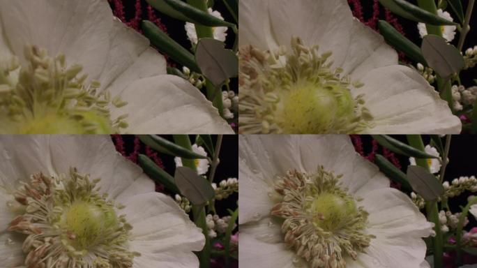 多莉微距拍摄美丽盛开的鲜花花束特写。
