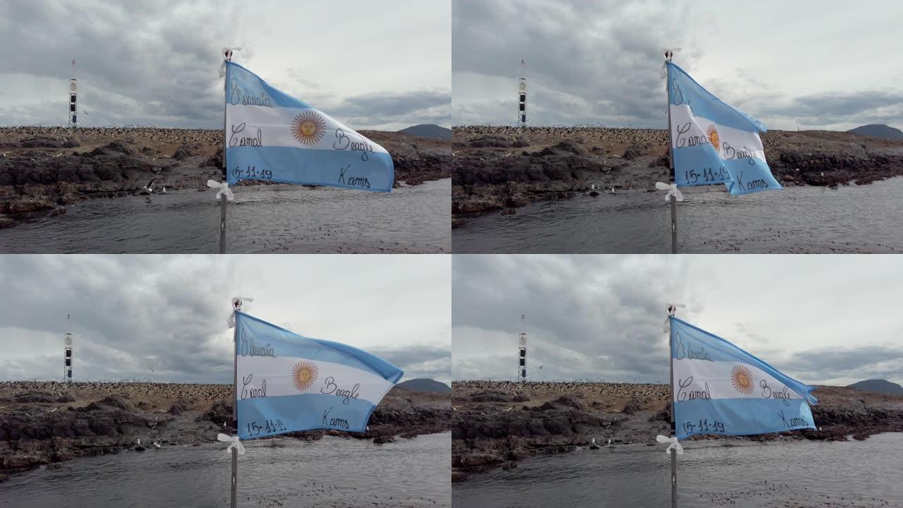 阿根廷国旗与巴塔哥尼亚乌斯怀亚附近的许多帝国粗毛的慢动作视频