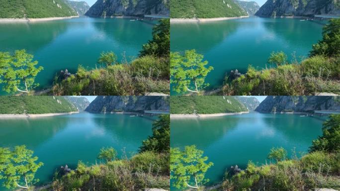 黑山的皮瓦湖 (Pivsko Jezero) 夏季景观中的鱼。
