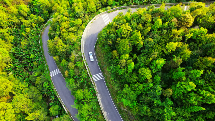 航拍行驶在森林公路的小车