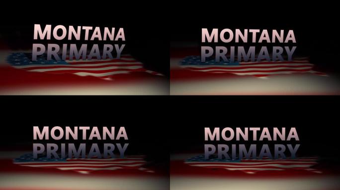 美国电影选举运动图形-蒙大拿初级版本